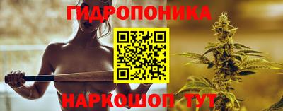 стафф Гусев