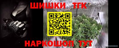 стафф Гусев