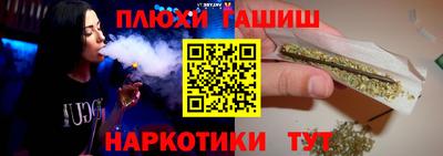 стафф Гусев