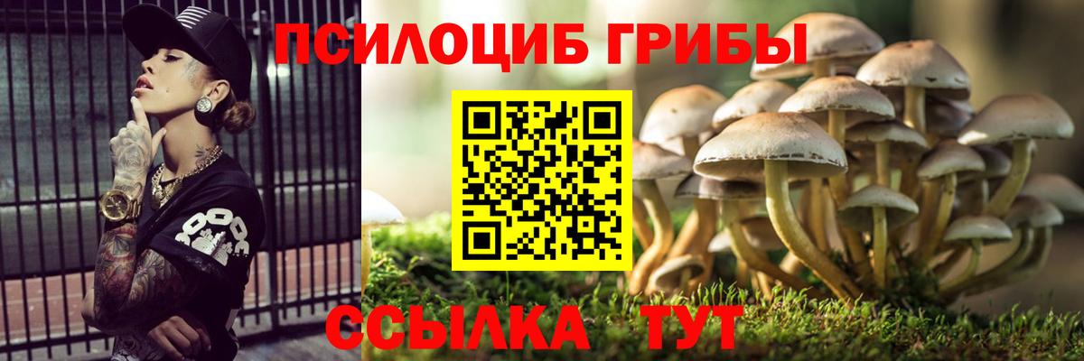 Черкесск  Псилоцибиновые грибы мицелий  дарнет шоп  Вход с VPN 
